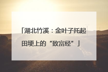 湖北竹溪：金叶子托起田埂上的“致富经”