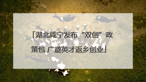 湖北咸宁发布“双创”政策包 广邀英才返乡创业