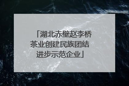 湖北赤壁赵李桥茶业创建民族团结进步示范企业