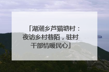 湖潮乡芦猫塘村：夜访乡村巷陌，驻村干部情暖民心