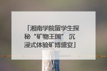湘南学院留学生探秘“矿物王国” 沉浸式体验矿博盛宴