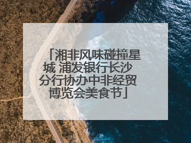 湘非风味碰撞星城 浦发银行长沙分行协办中非经贸博览会美食节