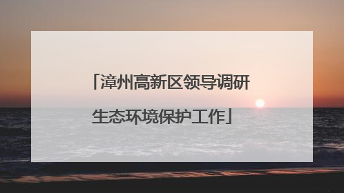 漳州高新区领导调研生态环境保护工作