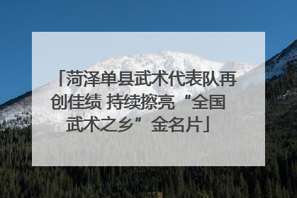 菏泽单县武术代表队再创佳绩 持续擦亮“全国武术之乡”金名片