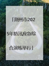 荆州市2025年防汛应急综合演练举行