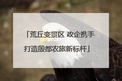 荒丘变景区 政企携手打造殷都农旅新标杆