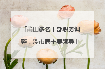 莆田多名干部职务调整，涉市局主要领导
