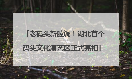 老码头新腔调！湖北首个码头文化演艺区正式亮相