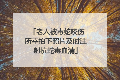 老人被毒蛇咬伤 所幸拍下照片及时注射抗蛇毒血清