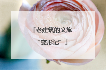 老建筑的文旅“变形记”