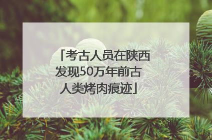 考古人员在陕西发现50万年前古人类烤肉痕迹