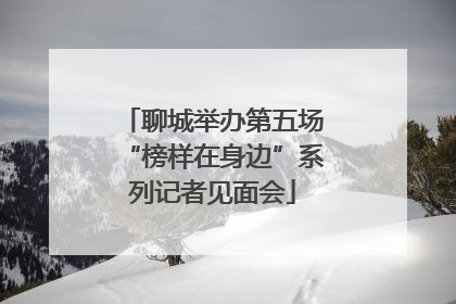 聊城举办第五场“榜样在身边”系列记者见面会