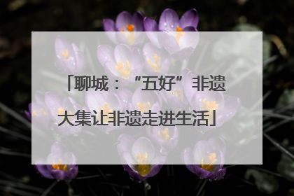 聊城：“五好”非遗大集让非遗走进生活