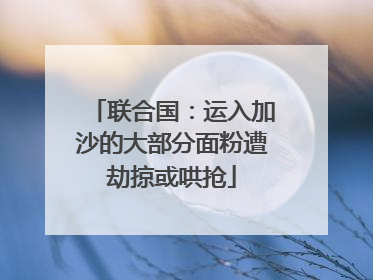 联合国：运入加沙的大部分面粉遭劫掠或哄抢
