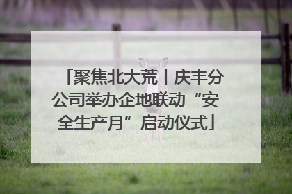 聚焦北大荒丨庆丰分公司举办企地联动“安全生产月”启动仪式