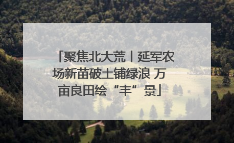 聚焦北大荒丨延军农场新苗破土铺绿浪 万亩良田绘“丰”景