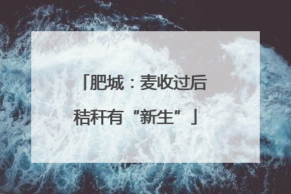 肥城：麦收过后秸秆有“新生”