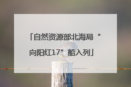 自然资源部北海局“向阳红17”船入列
