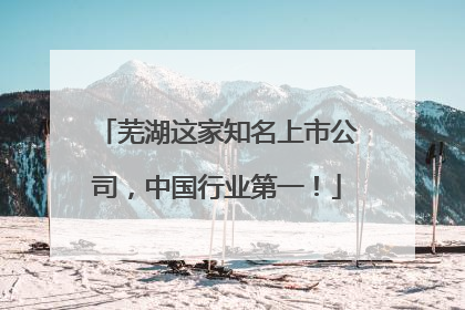 芜湖这家知名上市公司，中国行业第一！