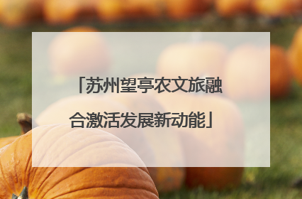 苏州望亭农文旅融合激活发展新动能