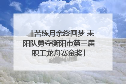 苦练月余终圆梦 耒阳队勇夺衡阳市第三届职工龙舟赛金奖