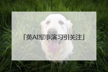 英AI军事演习引关注