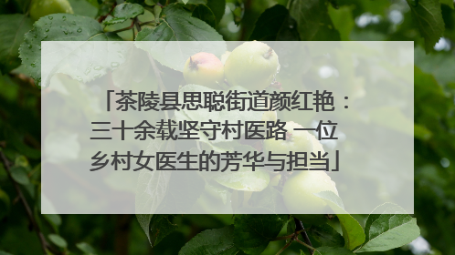 茶陵县思聪街道颜红艳：三十余载坚守村医路 一位乡村女医生的芳华与担当