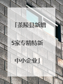 茶陵县新增5家专精特新中小企业