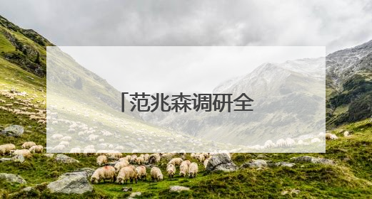 范兆森调研全市就业工作