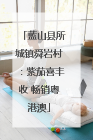 蓝山县所城镇舜岩村：紫茄喜丰收 畅销粤港澳