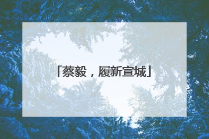 蔡毅，履新宣城