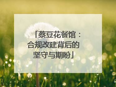 蔡豆花餐馆：合规改建背后的坚守与期盼