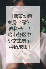 蔬菜幼苗变身“绿色教科书”！哈市各区中小学生展示种植成果