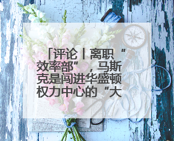 评论丨离职“效率部”，马斯克是闯进华盛顿权力中心的“大象”？