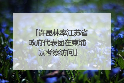 许昆林率江苏省政府代表团在柬埔寨考察访问