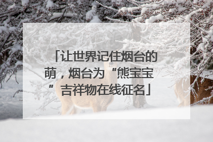 让世界记住烟台的萌，烟台为“熊宝宝”吉祥物在线征名