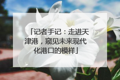 记者手记：走进天津港，窥见未来现代化港口的模样