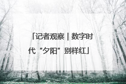 记者观察｜数字时代“夕阳”别样红