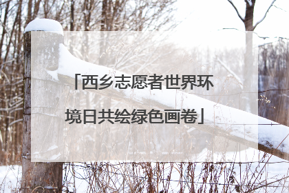 西乡志愿者世界环境日共绘绿色画卷