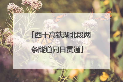 西十高铁湖北段两条隧道同日贯通