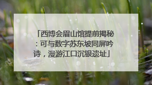西博会眉山馆提前揭秘：可与数字苏东坡同屏吟诗，漫游江口沉银遗址