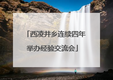 西凌井乡连续四年举办经验交流会