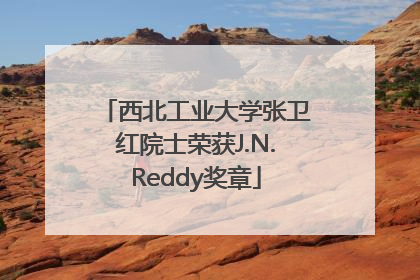 西北工业大学张卫红院士荣获J.N.Reddy奖章