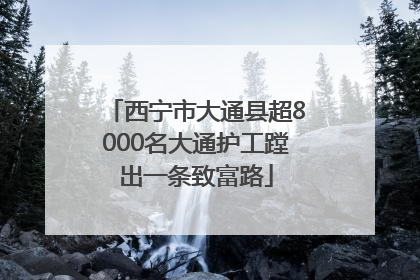 西宁市大通县超8000名大通护工蹚出一条致富路