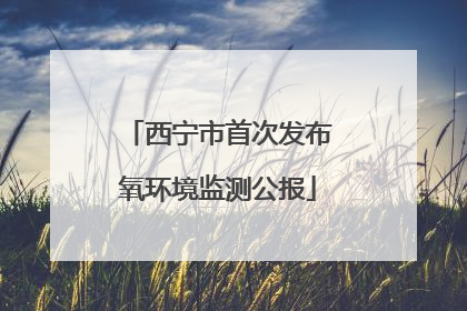 西宁市首次发布氧环境监测公报