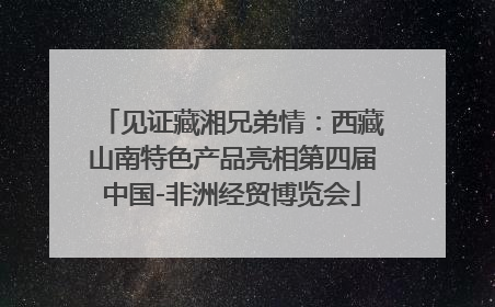 见证藏湘兄弟情：西藏山南特色产品亮相第四届中国-非洲经贸博览会