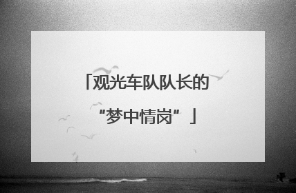 观光车队队长的“梦中情岗”