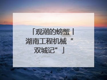 观潮的螃蟹丨湖南工程机械“双城记”