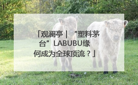 观澜亭｜“塑料茅台”LABUBU缘何成为全球顶流？