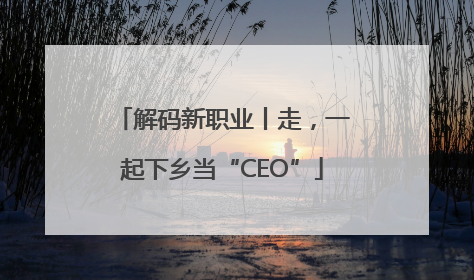解码新职业丨走，一起下乡当“CEO”